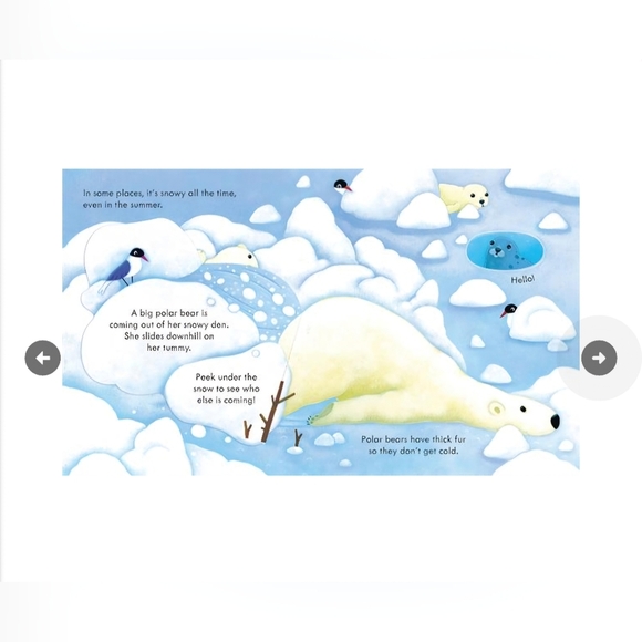 🌸 3/$25 🌸 Peek Inside Snowy Places - Picture 5 of 5